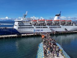 Jelang Libur Idul Adha 1447 H, Tiket Kapal PELNI Tembus 39 Ribu Penumpang